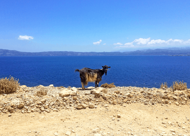 Chania, Crete