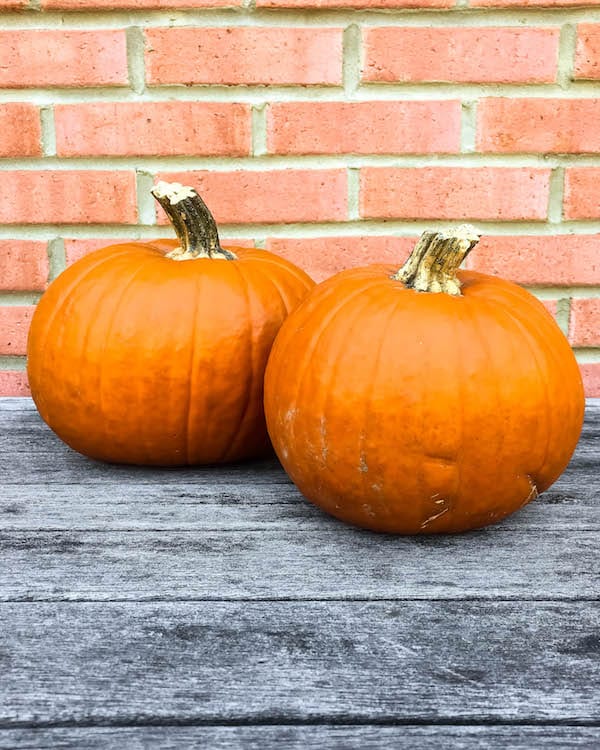 homemade-fresh-pumpkin-puree