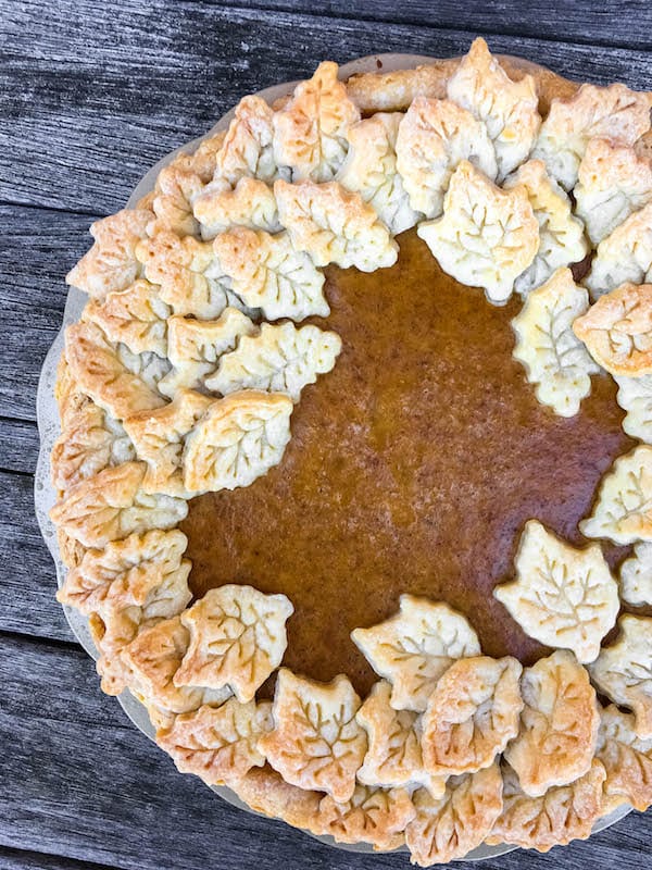 Celebrate It Pie Crust Cutter Thanksgiving Acorn and Leaves Metal Fall  Harvest