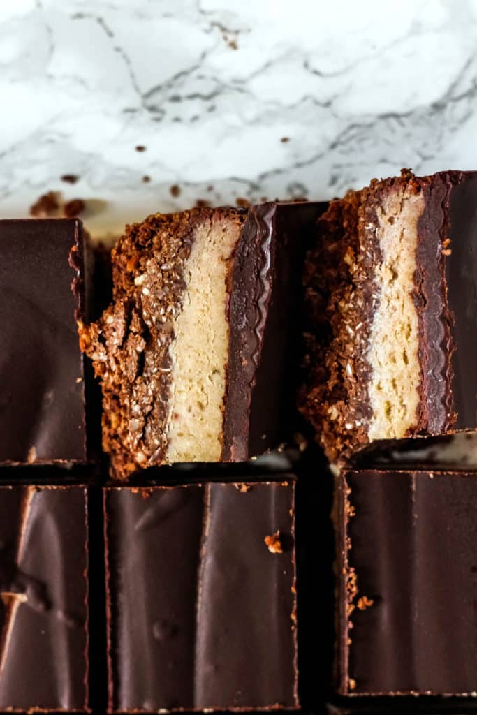 Chocolate Coconut Caramel Bars Gluten Free Paleo Vegan