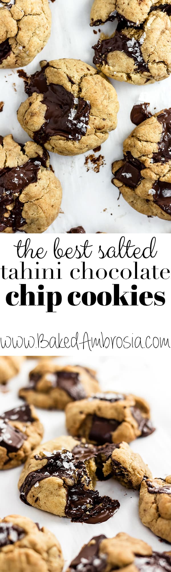 The BEST Tahini Chocolate Chip Cookies - Baked Ambrosia