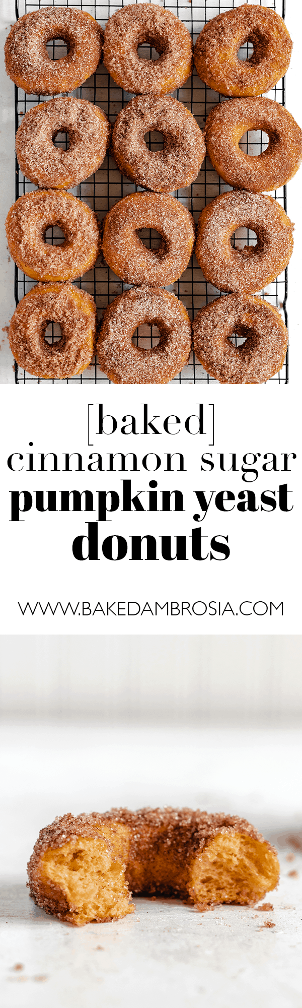Baked Cinnamon Sugar Pumpkin Yeast Donuts
