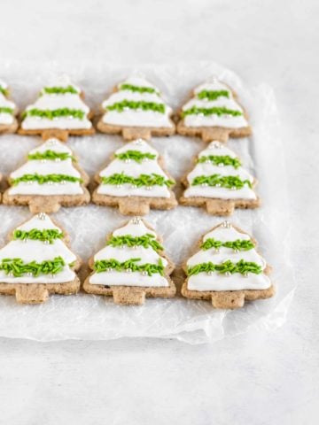 Cut-Out Pecan Sandies