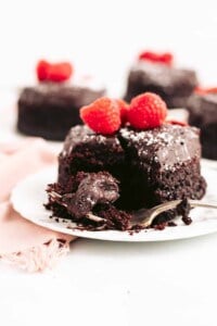 Rich and Moist Chocolate Cake with Fudge Frosting