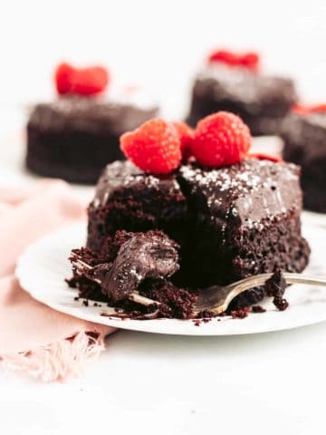 Rich and Moist Chocolate Cake with Fudge Frosting