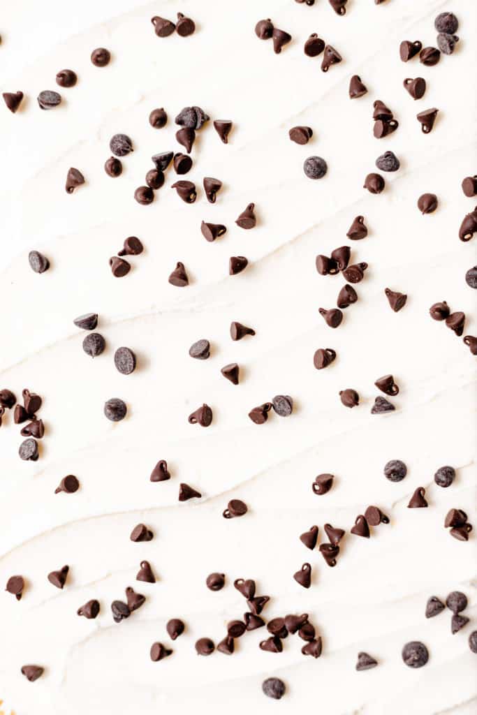 Chocolate Chip Sheet Cake Baked Ambrosia