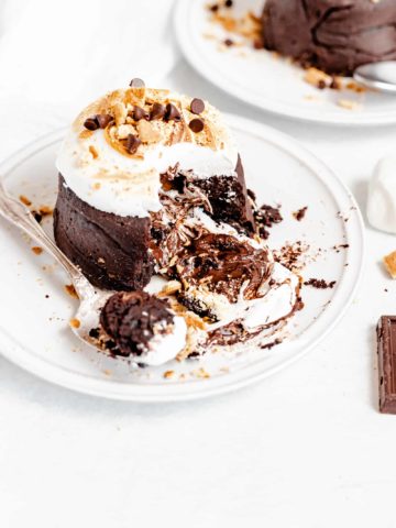 molten smores chocolate lava cake