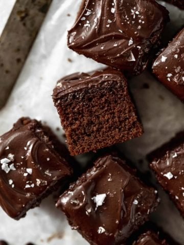 chocolate cake squares with chocolate frosting