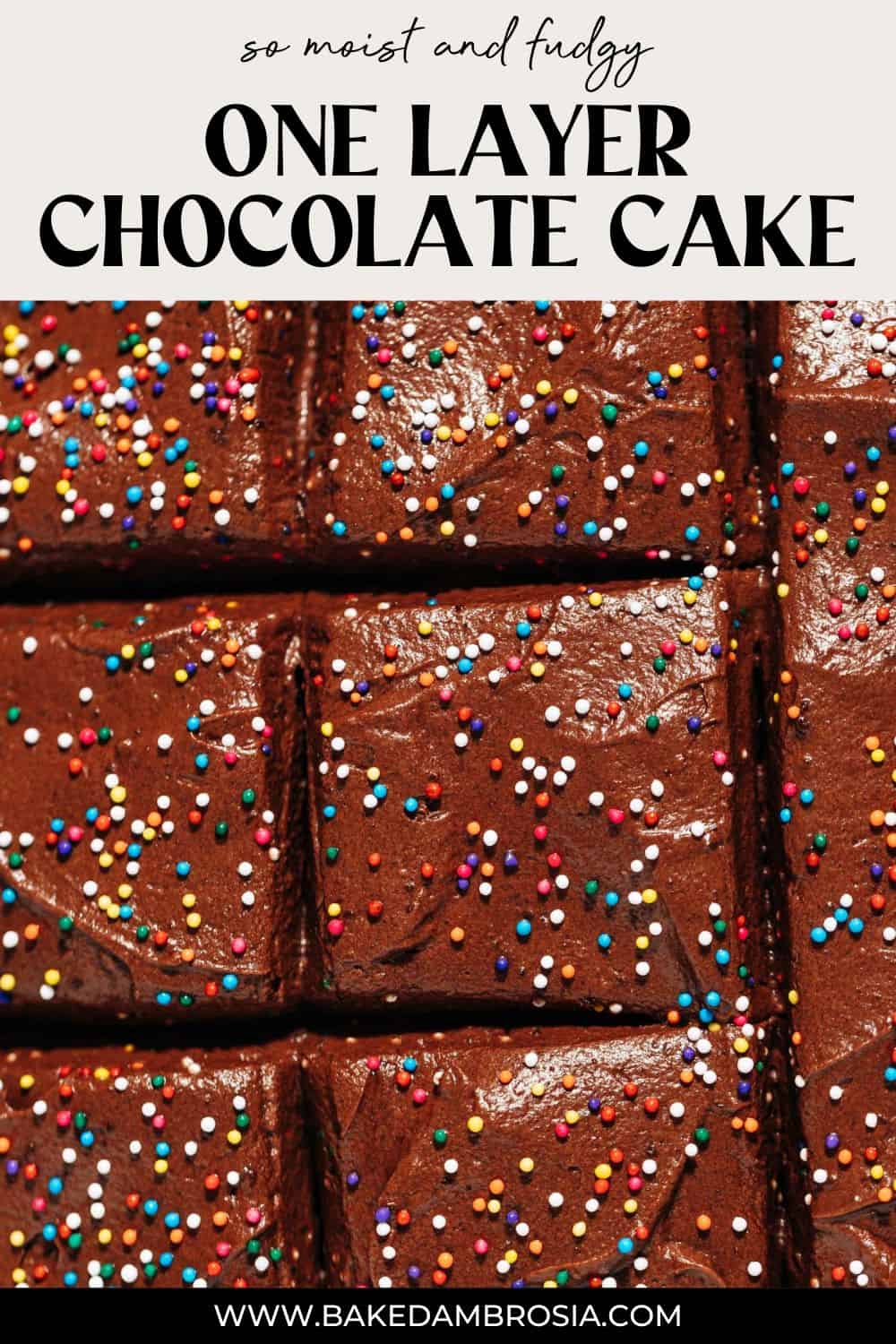 Best One Layer Chocolate Cake Recipe (Great for kids!)