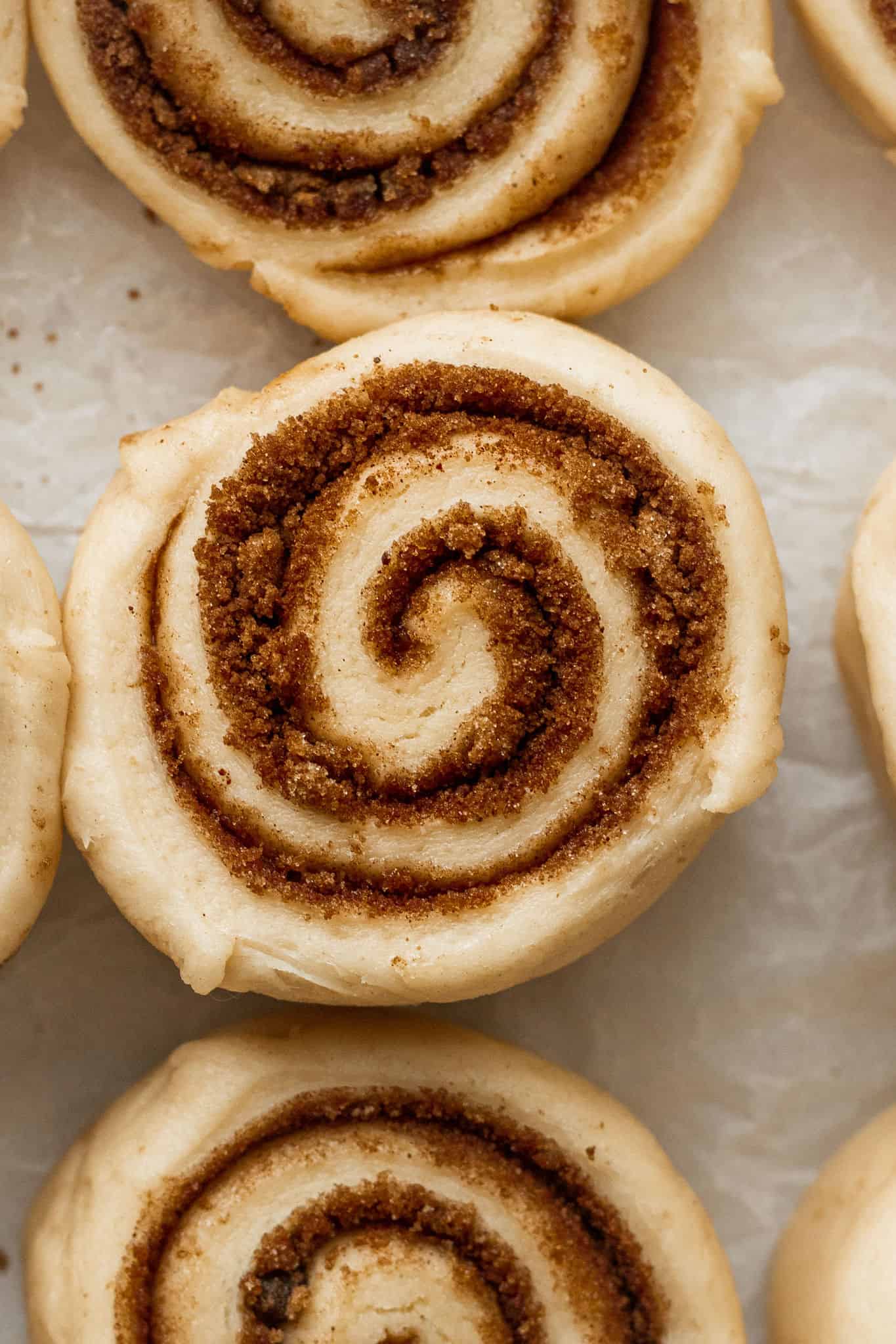 The BEST Homemade Cinnamon Rolls