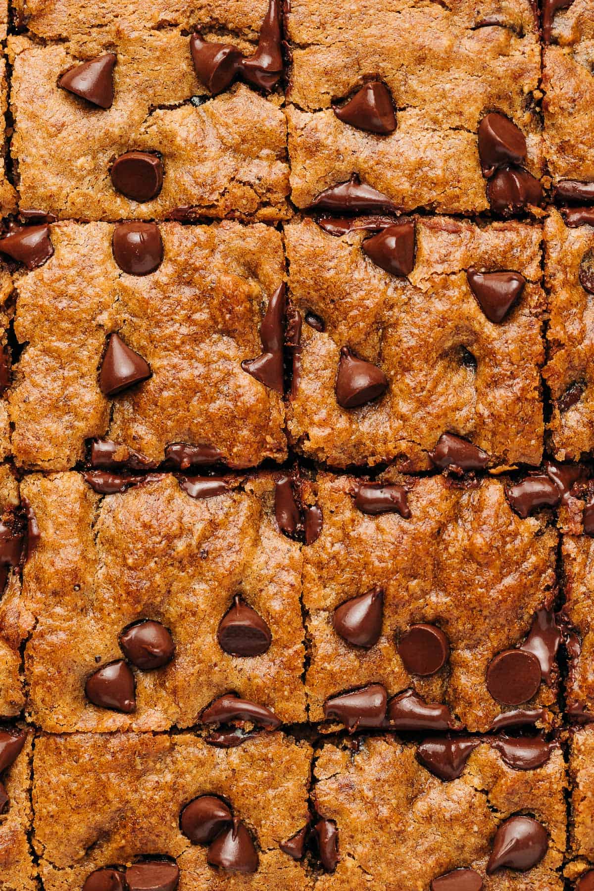 Chocolate chip banana bread cut into squares.