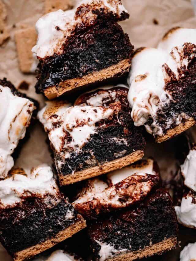The Best Fudgy S’mores Brownies