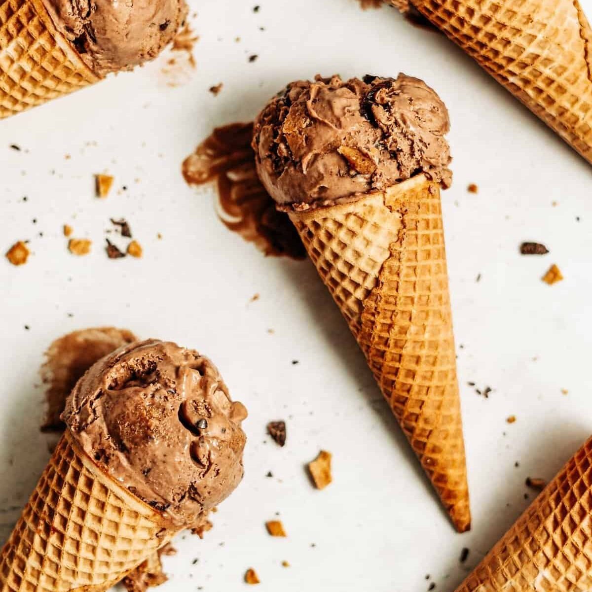Chocolate Peanut Butter Ice Cream