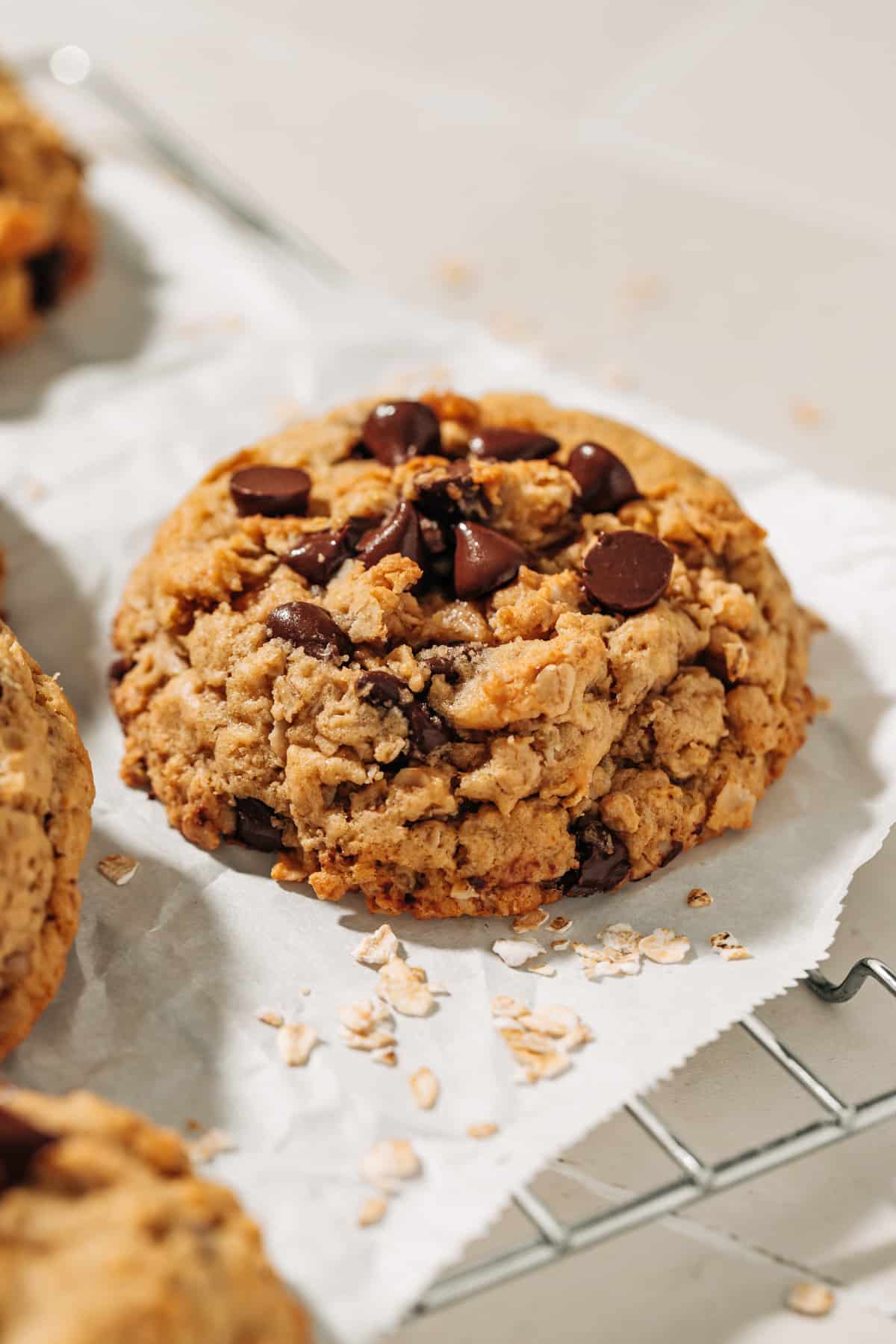 oatmeal chocolate chip cookie on parchment paper.