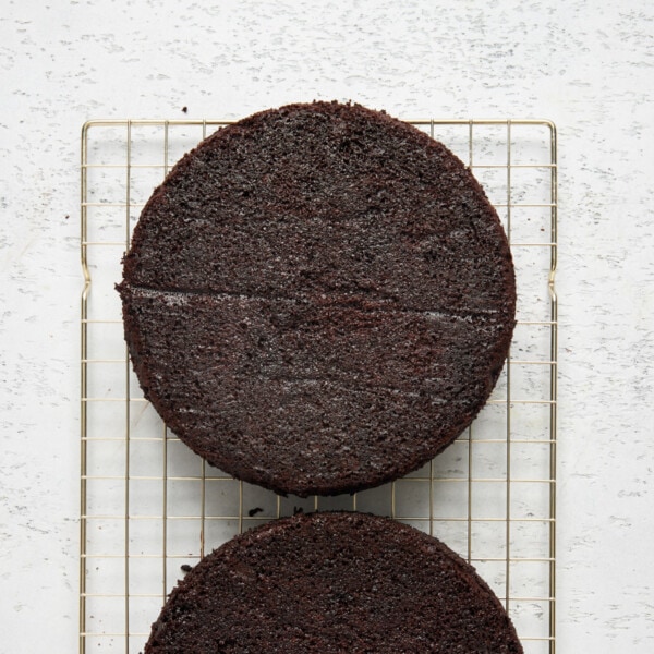 Rich and Moist Chocolate Cake (from scratch recipe) - Baked Ambrosia