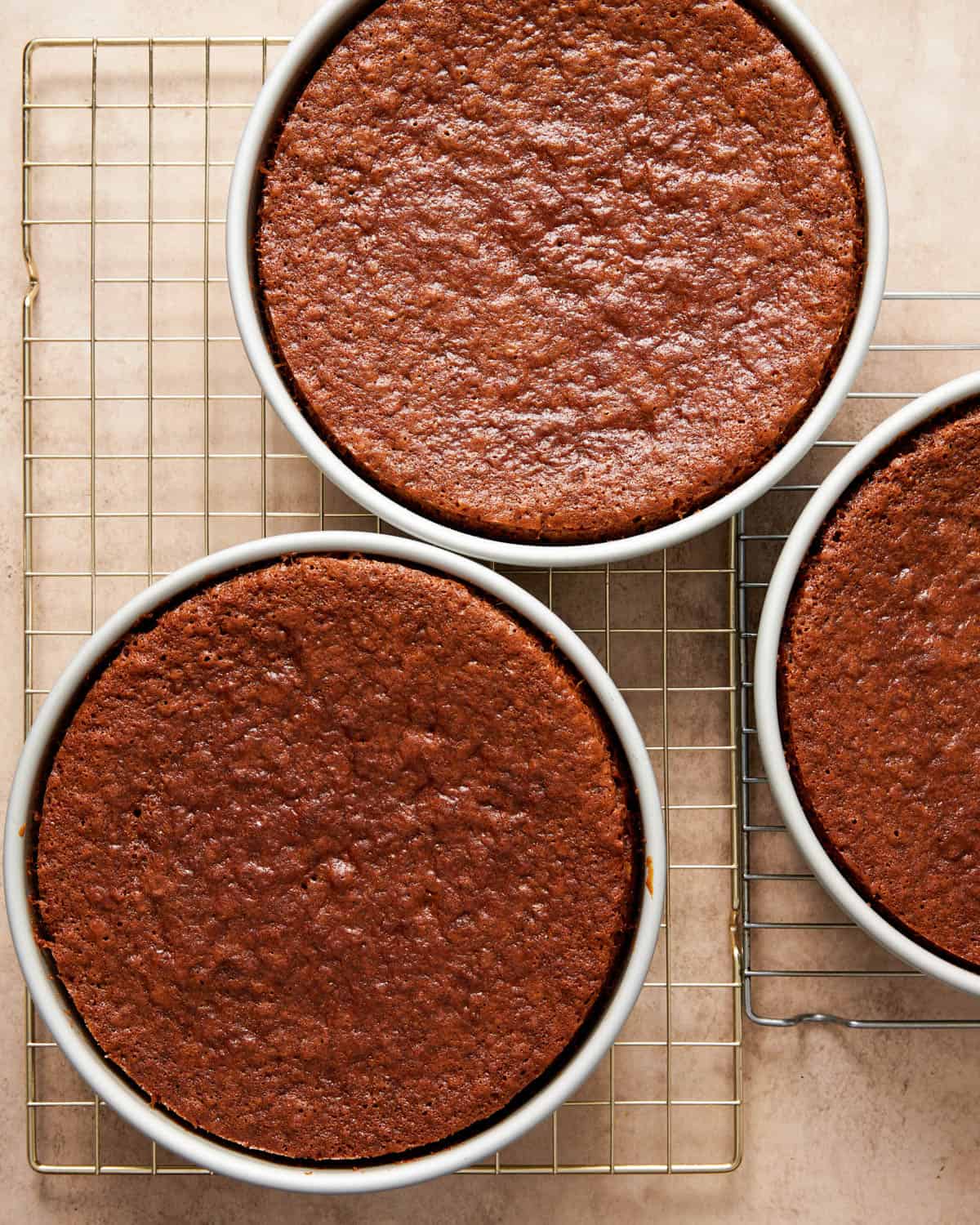 gingerbread cake layers.