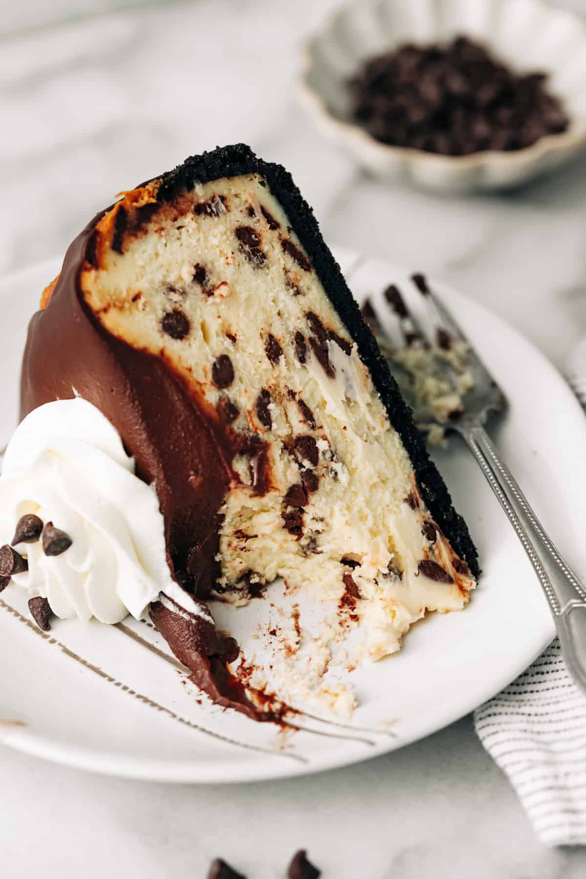 a slice of chocolate chip cheesecake with a bite taken out of it.