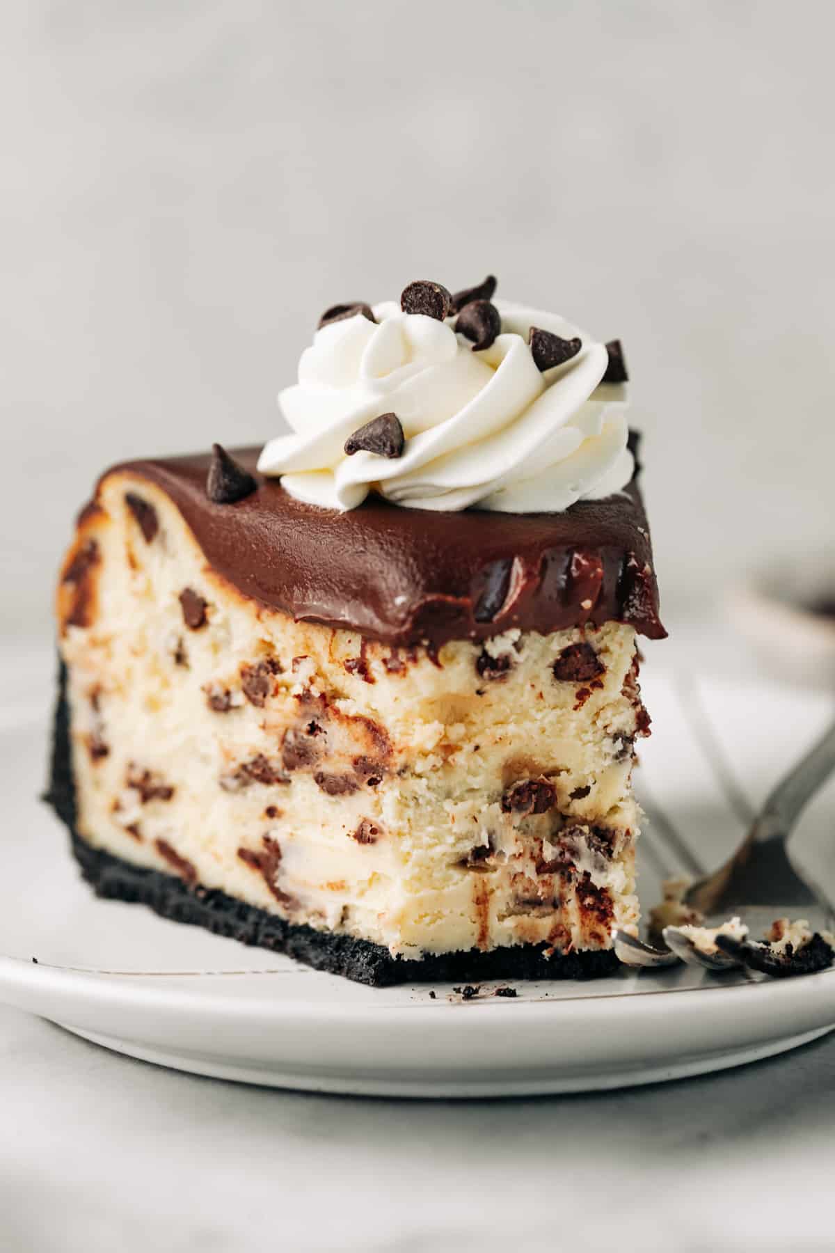 slice of creamy chocolate chip cheesecake on a plate.