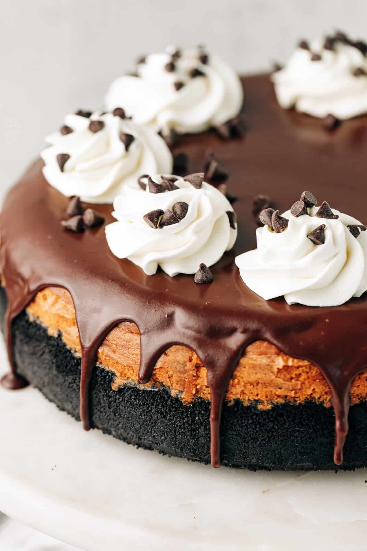 chocolate chip cheesecake on a cake stand.