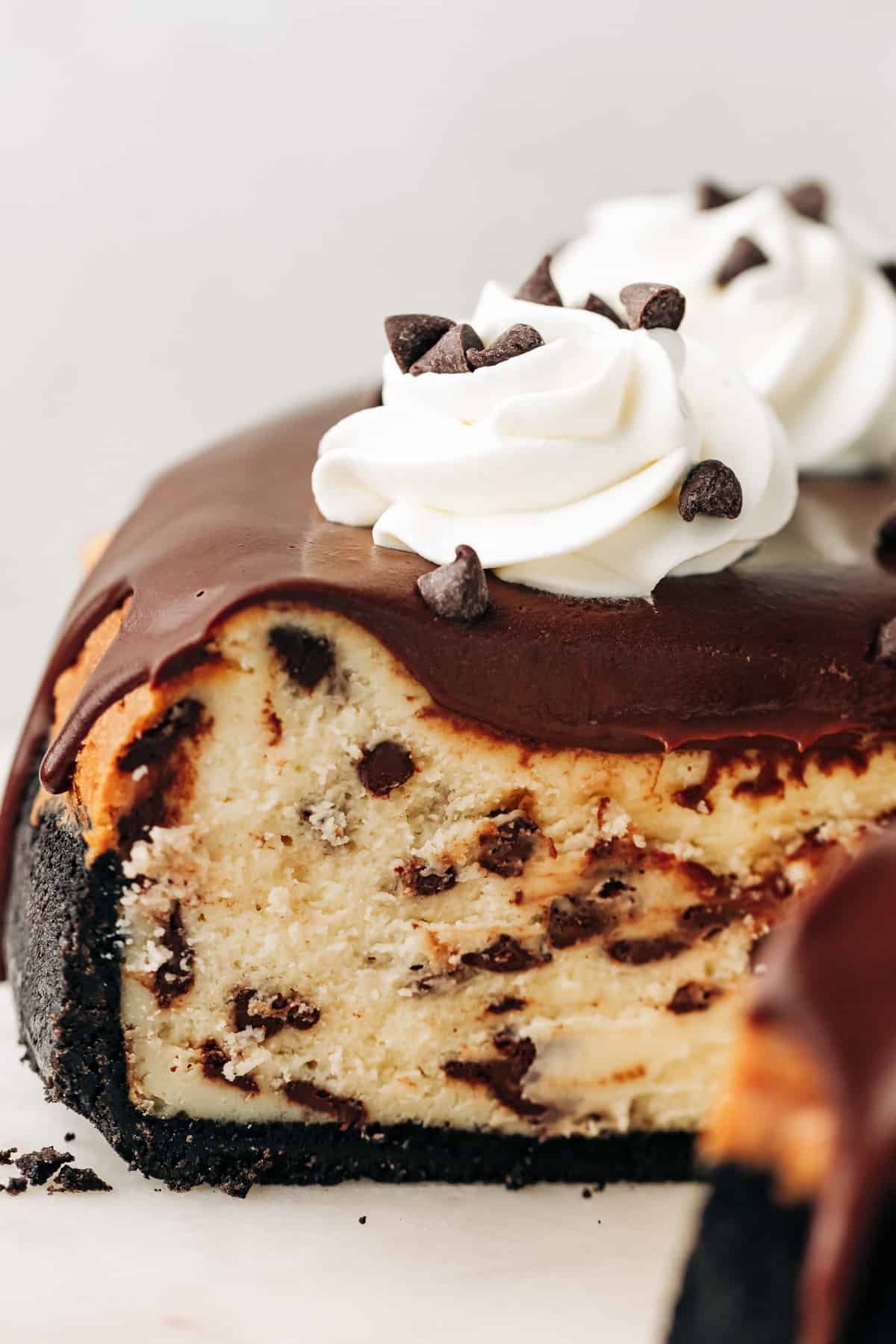 inside of a chocolate chip cheesecake.
