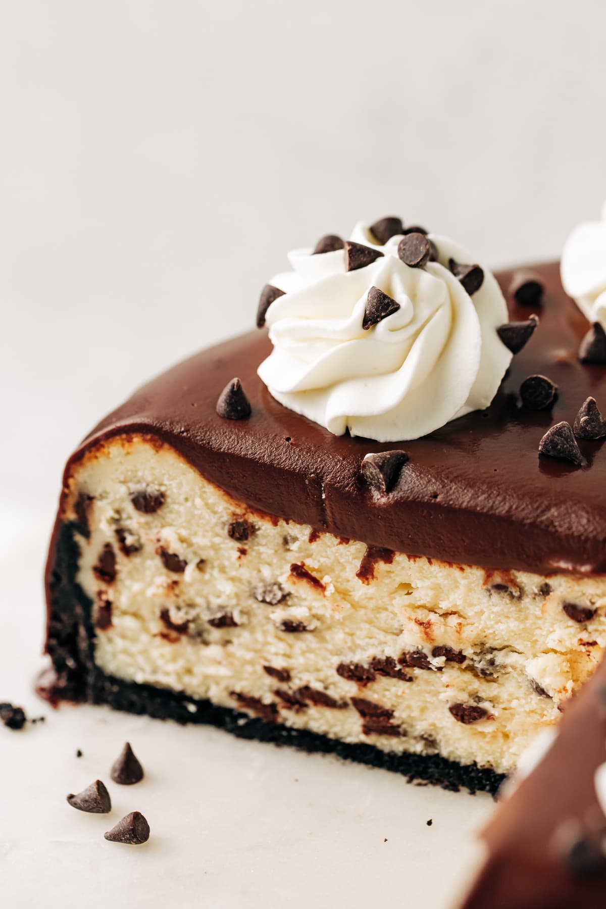 chocolate chip cheesecake with ganache and whipped cream.