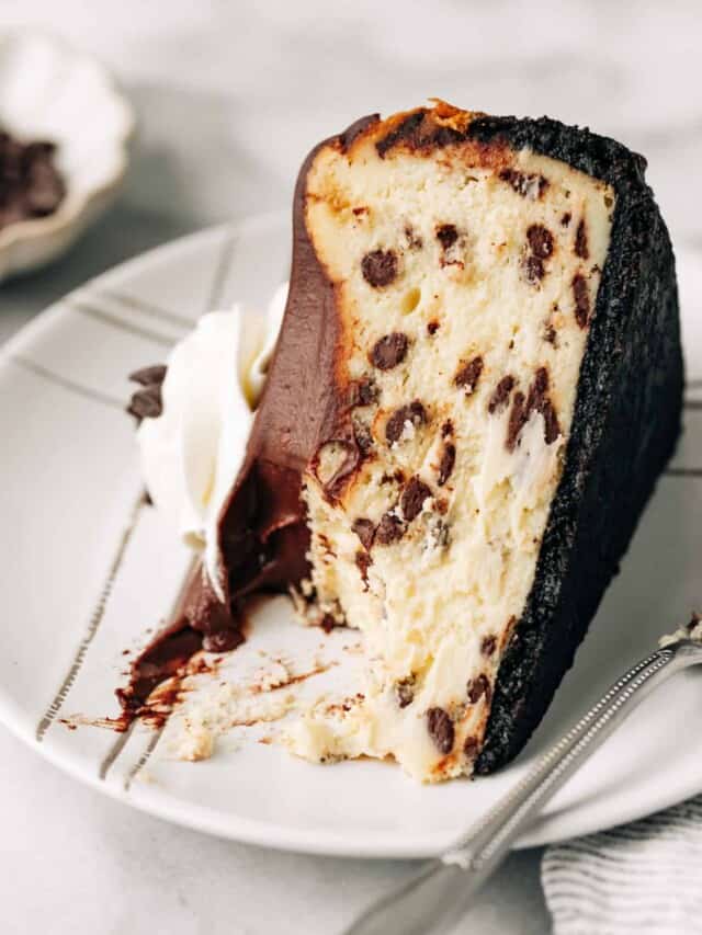 slice of chocolate chip cheesecake.